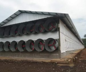 WhatsApp Image 2025-04-19 at 10.30.18